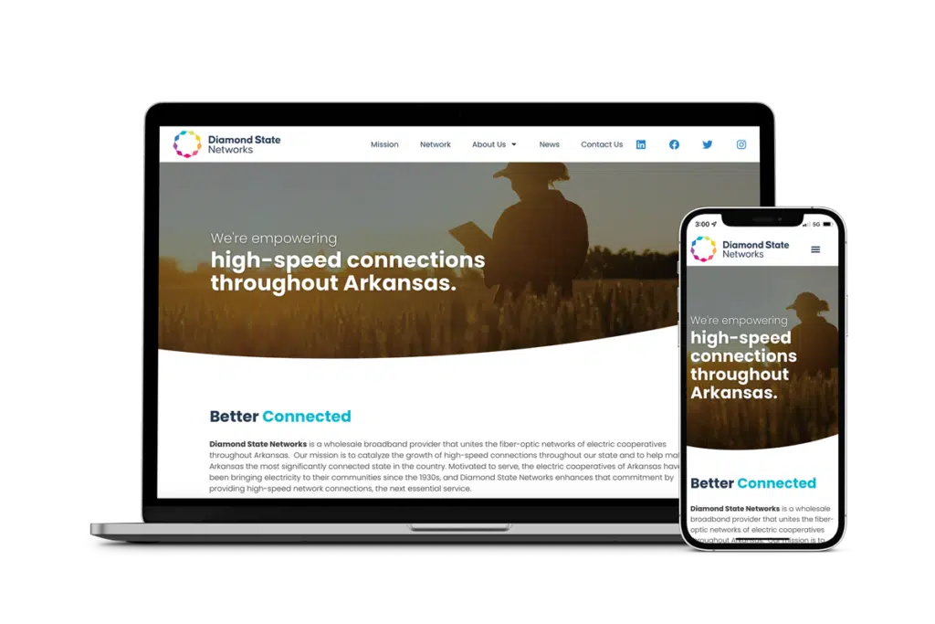 Diamond State Networks — work sample 2