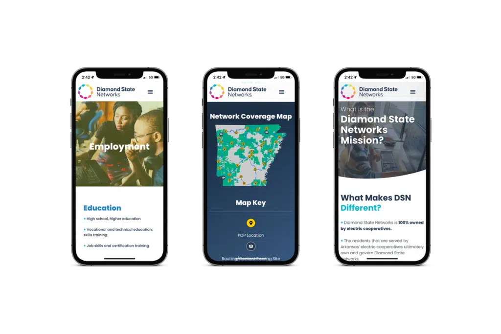 Diamond State Networks — work sample 3