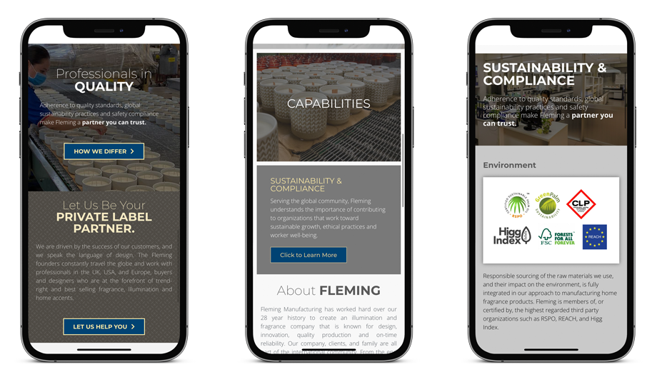 Fleming International — work sample 2