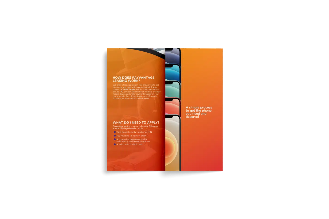 Payvantage — work sample 1